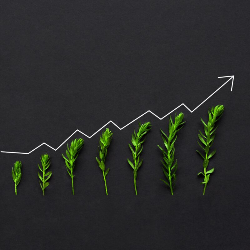 A graph of growth with increasingly large green plants that got depression treatment after they entered rehab for depression.