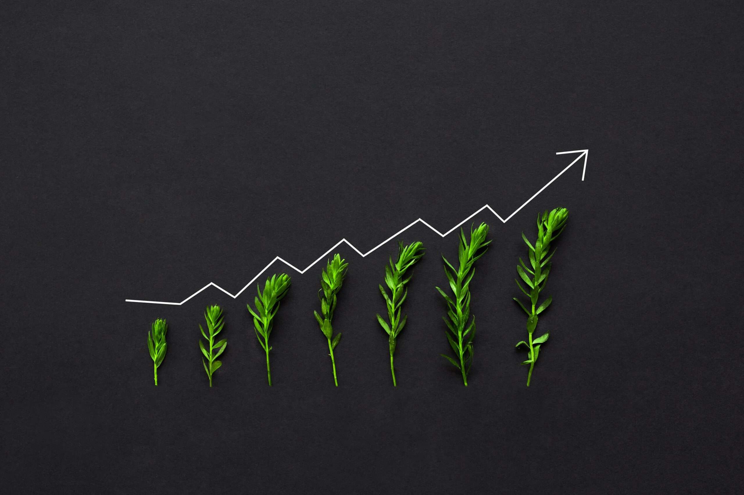 A graph of growth with increasingly large green plants that got depression treatment after they entered rehab for depression.