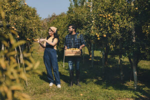 Two people enjoying a mental health day in a orchard instead burning out behind a desk