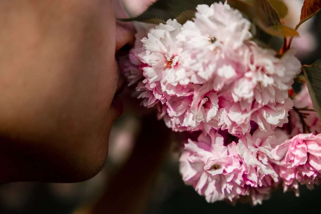 A person smelling a beautiful flower during a mental health day.